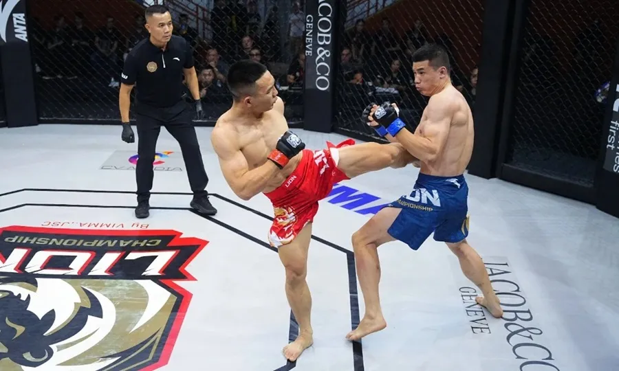 Sự tham gia của đoàn Việt Nam